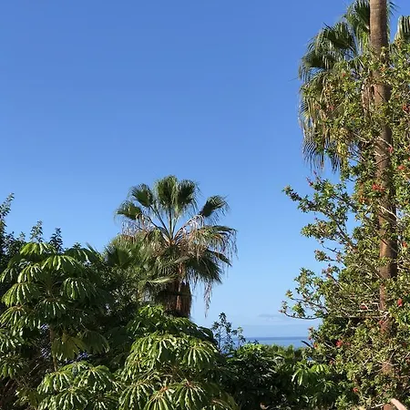 Liberty Tenerife